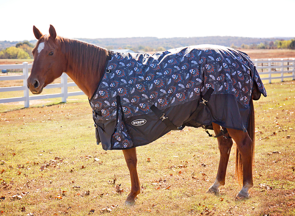 Oxbow Sugar Skulls 600 Denier Blanket Oxbow Tack