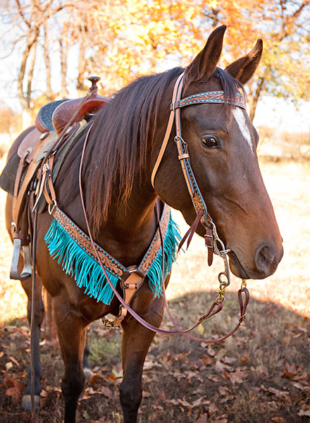 Turquoise Buckstitch Antique Browband Headstall